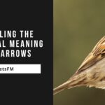 Exploring the Spiritual Meaning of Sparrows